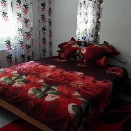 Apartament Ela Elegance Apartment Orsova Ngoại thất bức ảnh