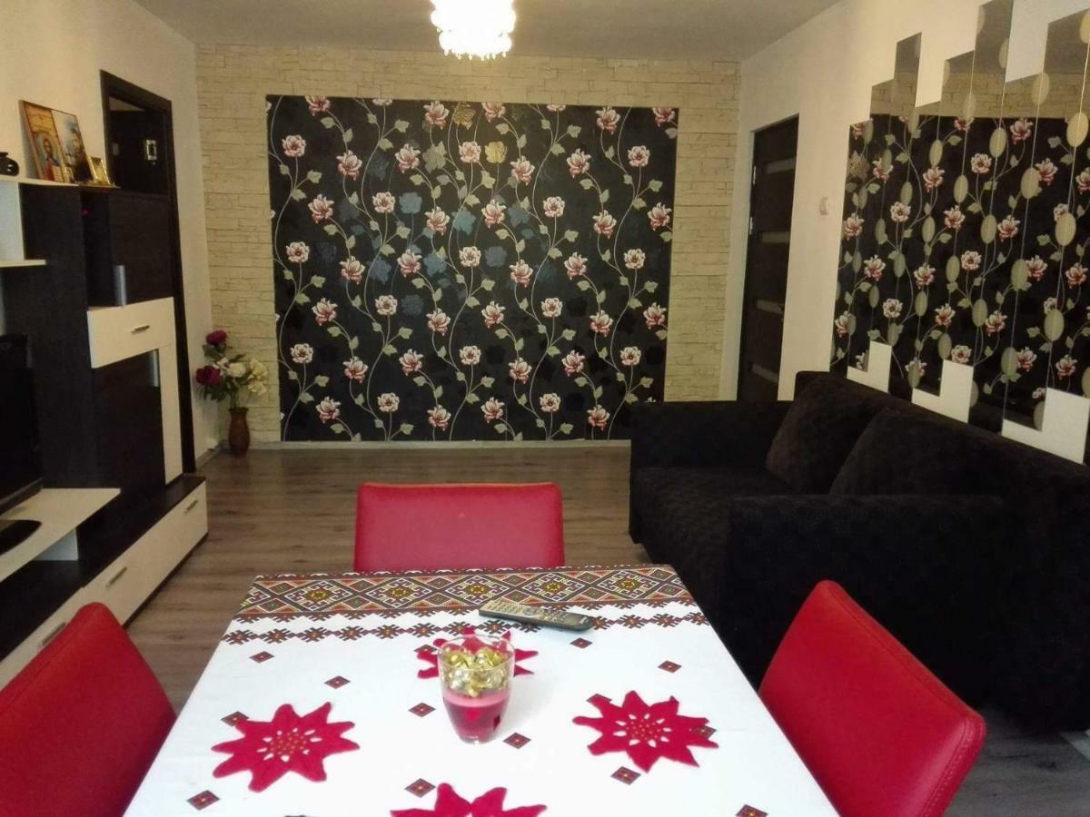 Apartament Ela Elegance Apartment Orsova Ngoại thất bức ảnh