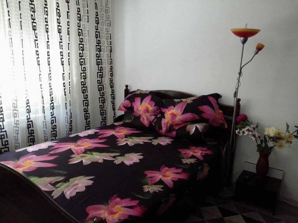 Apartament Ela Elegance Apartment Orsova Ngoại thất bức ảnh